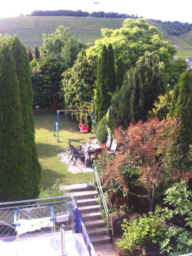 Doppelzimmer Mit Terrasse Zum Garten, Ruhig, Weinbergsblick, Zusaetzliches Kinderzimmer Anbei Moeglich Winningen Kültér fotó